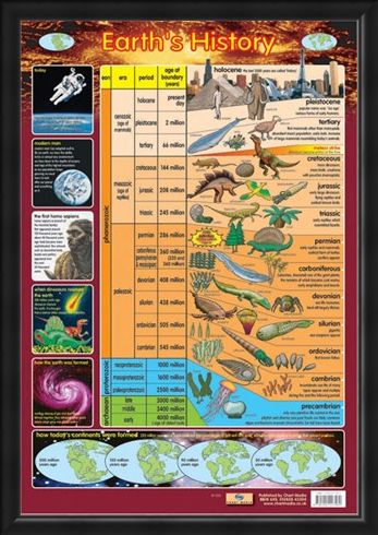 Framed Framed Earth's History - From Precambrian to Holocene